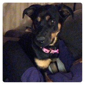 Meet your Posher, Jenna